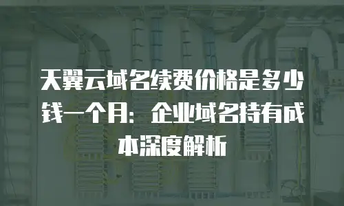 天翼云域名续费价格是多少钱一个月：企业域名持有成本深度解析