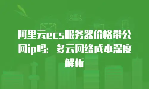 阿里云ecs服务器价格带公网ip吗：多云网络成本深度解析