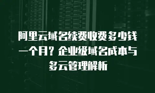 阿里云域名续费收费多少钱一个月？企业级域名成本与多云管理解析