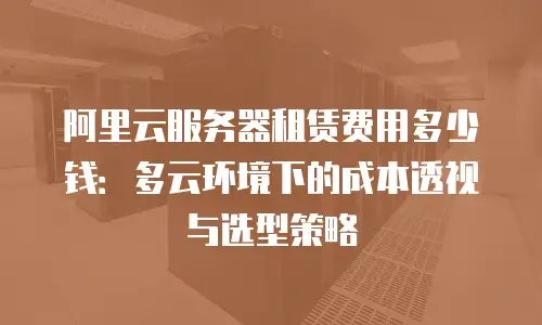 阿里云服务器租赁费用多少钱：多云环境下的成本透视与选型策略