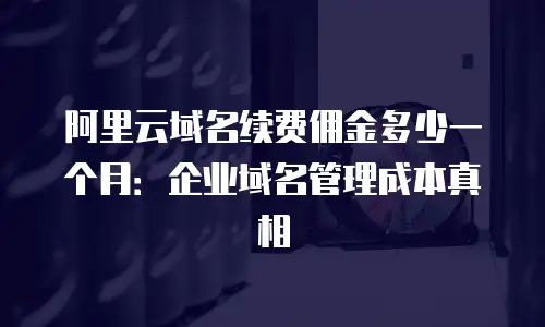阿里云域名续费佣金多少一个月：企业域名管理成本真相