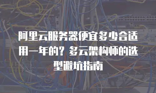 阿里云服务器便宜多少合适用一年的？多云架构师的选型避坑指南