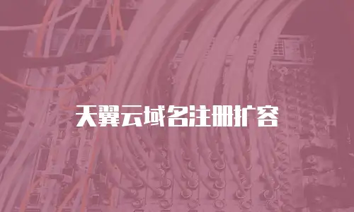 天翼云域名注册扩容