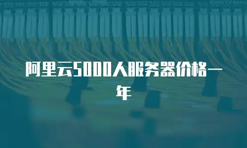 阿里云5000人服务器价格一年