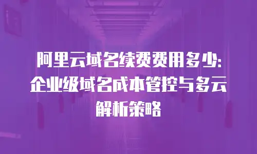 阿里云域名续费费用多少：企业级域名成本管控与多云解析策略