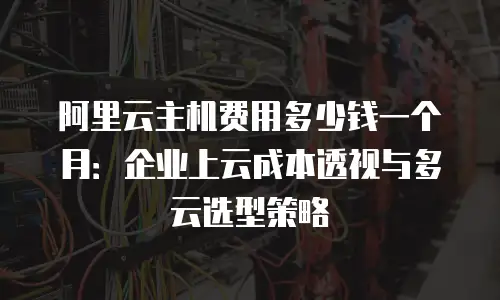 阿里云主机费用多少钱一个月：企业上云成本透视与多云选型策略