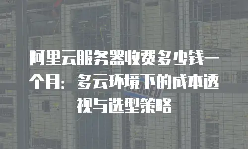 阿里云服务器收费多少钱一个月：多云环境下的成本透视与选型策略