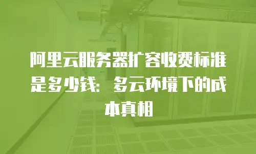 阿里云服务器扩容收费标准是多少钱：多云环境下的成本真相