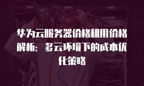 华为云服务器价格租用价格解析：多云环境下的成本优化策略