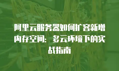 阿里云服务器如何扩容新增内存空间：多云环境下的实战指南