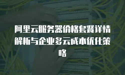 阿里云服务器价格套餐详情解析与企业多云成本优化策略