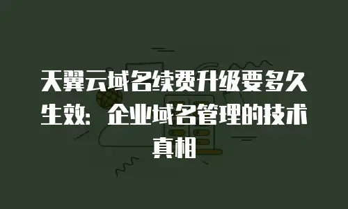 天翼云域名续费升级要多久生效：企业域名管理的技术真相