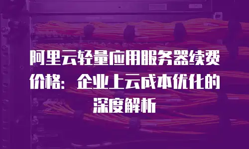 阿里云轻量应用服务器续费价格：企业上云成本优化的深度解析