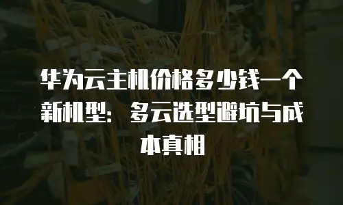 华为云主机价格多少钱一个新机型：多云选型避坑与成本真相