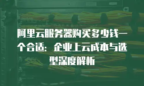 阿里云服务器购买多少钱一个合适：企业上云成本与选型深度解析
