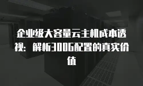 企业级大容量云主机成本透视：解析300G配置的真实价值