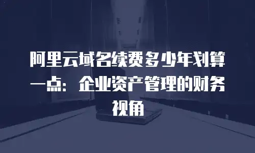 阿里云域名续费多少年划算一点：企业资产管理的财务视角