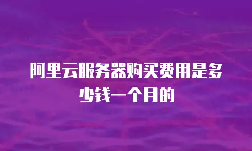 阿里云服务器购买费用是多少钱一个月的