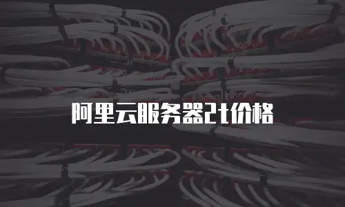 阿里云服务器2t价格