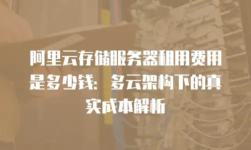 阿里云存储服务器租用费用是多少钱：多云架构下的真实成本解析