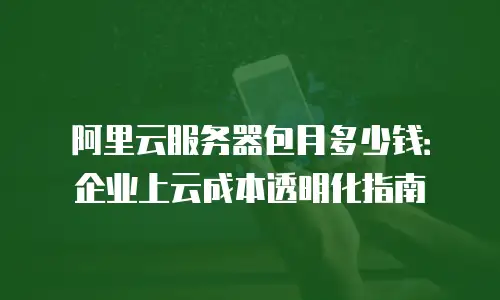 阿里云服务器包月多少钱：企业上云成本透明化指南