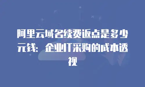 阿里云域名续费返点是多少元钱：企业IT采购的成本透视