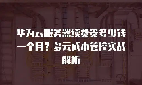 华为云服务器续费贵多少钱一个月？多云成本管控实战解析
