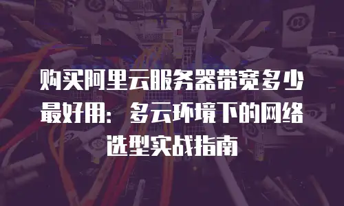 购买阿里云服务器带宽多少最好用：多云环境下的网络选型实战指南