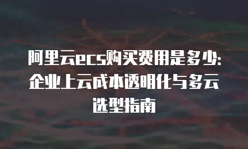 阿里云ecs购买费用是多少：企业上云成本透明化与多云选型指南