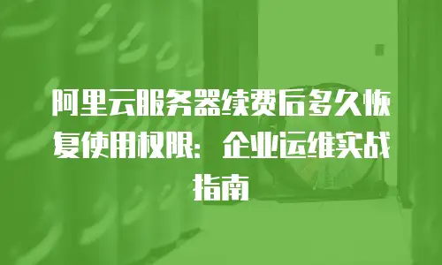 阿里云服务器续费后多久恢复使用权限：企业运维实战指南