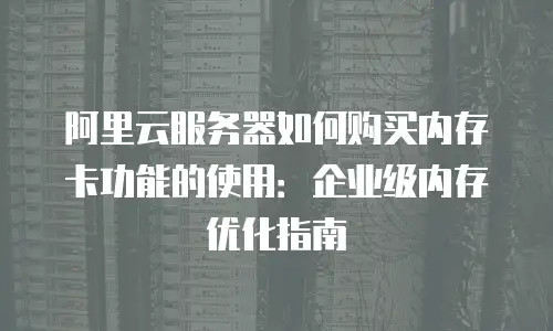 阿里云服务器如何购买内存卡功能的使用：企业级内存优化指南