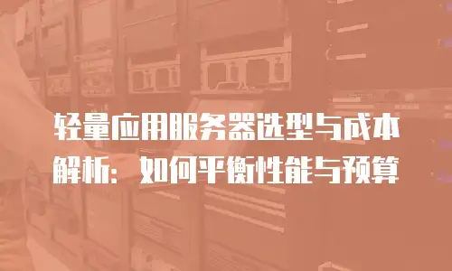 轻量应用服务器选型与成本解析：如何平衡性能与预算
