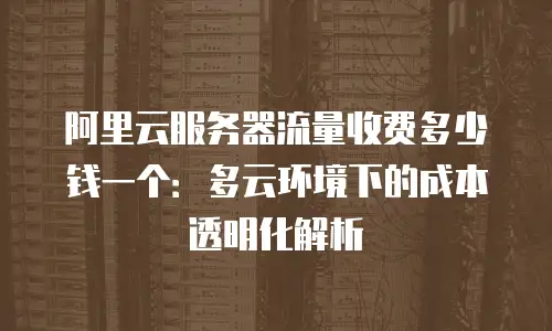 阿里云服务器流量收费多少钱一个：多云环境下的成本透明化解析