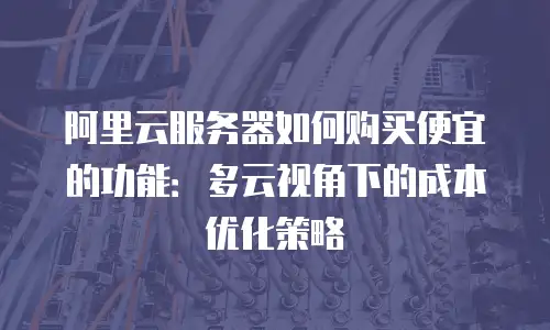 阿里云服务器如何购买便宜的功能：多云视角下的成本优化策略