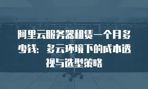 阿里云服务器租赁一个月多少钱：多云环境下的成本透视与选型策略