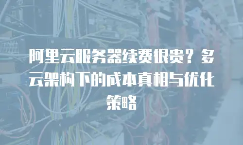阿里云服务器续费很贵？多云架构下的成本真相与优化策略