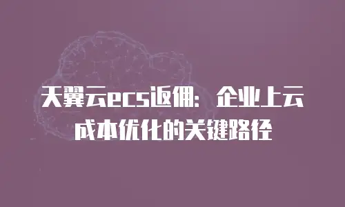天翼云ecs返佣：企业上云成本优化的关键路径