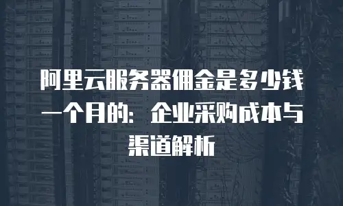 阿里云服务器佣金是多少钱一个月的：企业采购成本与渠道解析