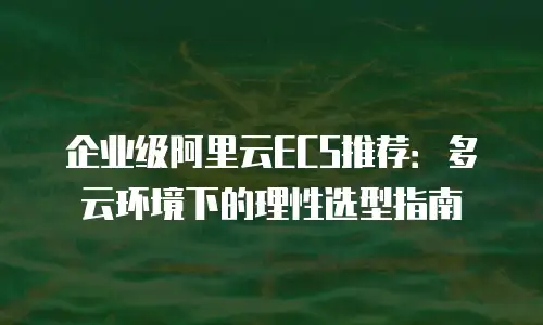 企业级阿里云ECS推荐：多云环境下的理性选型指南