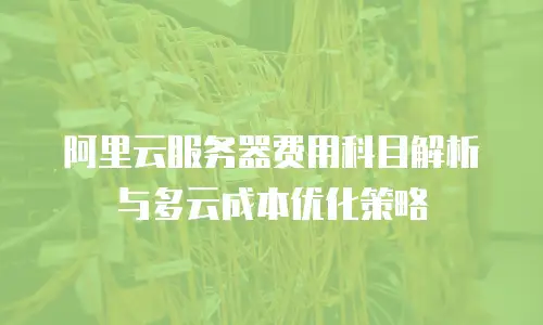 阿里云服务器费用科目解析与多云成本优化策略