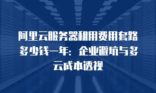 阿里云服务器租用费用套路多少钱一年：企业避坑与多云成本透视