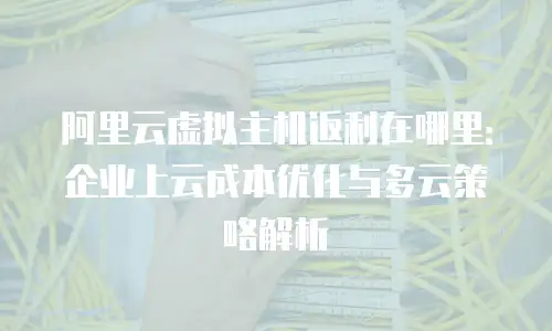 阿里云虚拟主机返利在哪里：企业上云成本优化与多云策略解析