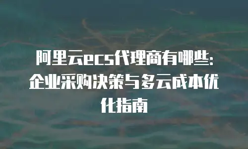 阿里云ecs代理商有哪些：企业采购决策与多云成本优化指南