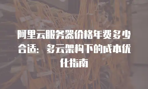阿里云服务器价格年费多少合适：多云架构下的成本优化指南