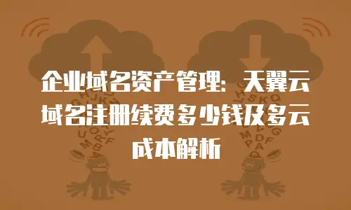 企业域名资产管理：天翼云域名注册续费多少钱及多云成本解析