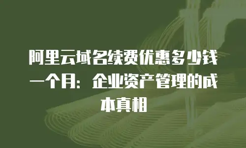 阿里云域名续费优惠多少钱一个月：企业资产管理的成本真相