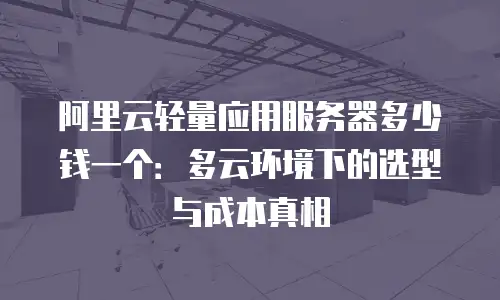 阿里云轻量应用服务器多少钱一个：多云环境下的选型与成本真相