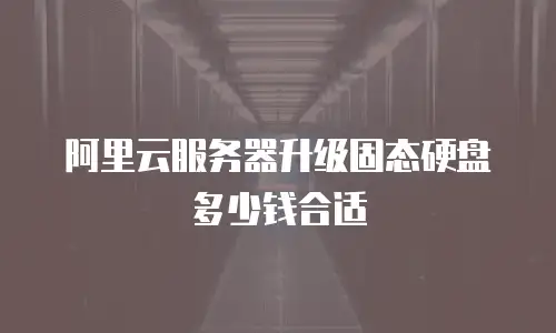 阿里云服务器升级固态硬盘多少钱合适