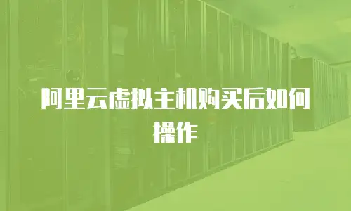 阿里云虚拟主机购买后如何操作