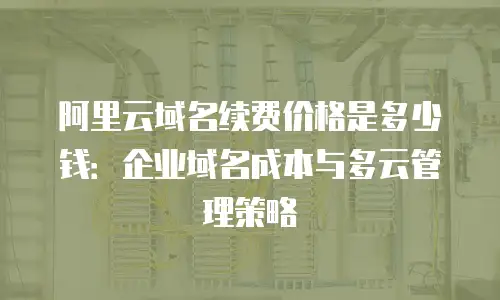 阿里云域名续费价格是多少钱：企业域名成本与多云管理策略